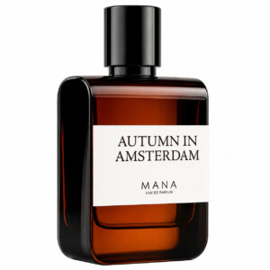 AUTUMN IN AMSTERDAM 1