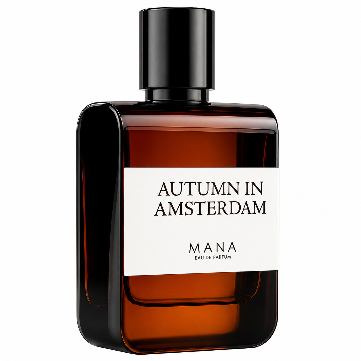 AUTUMN IN AMSTERDAM