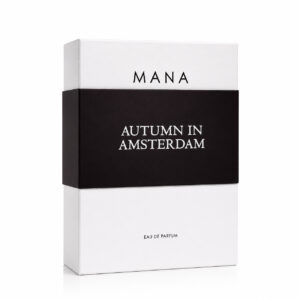 AUTUMN IN AMSTERDAM 3